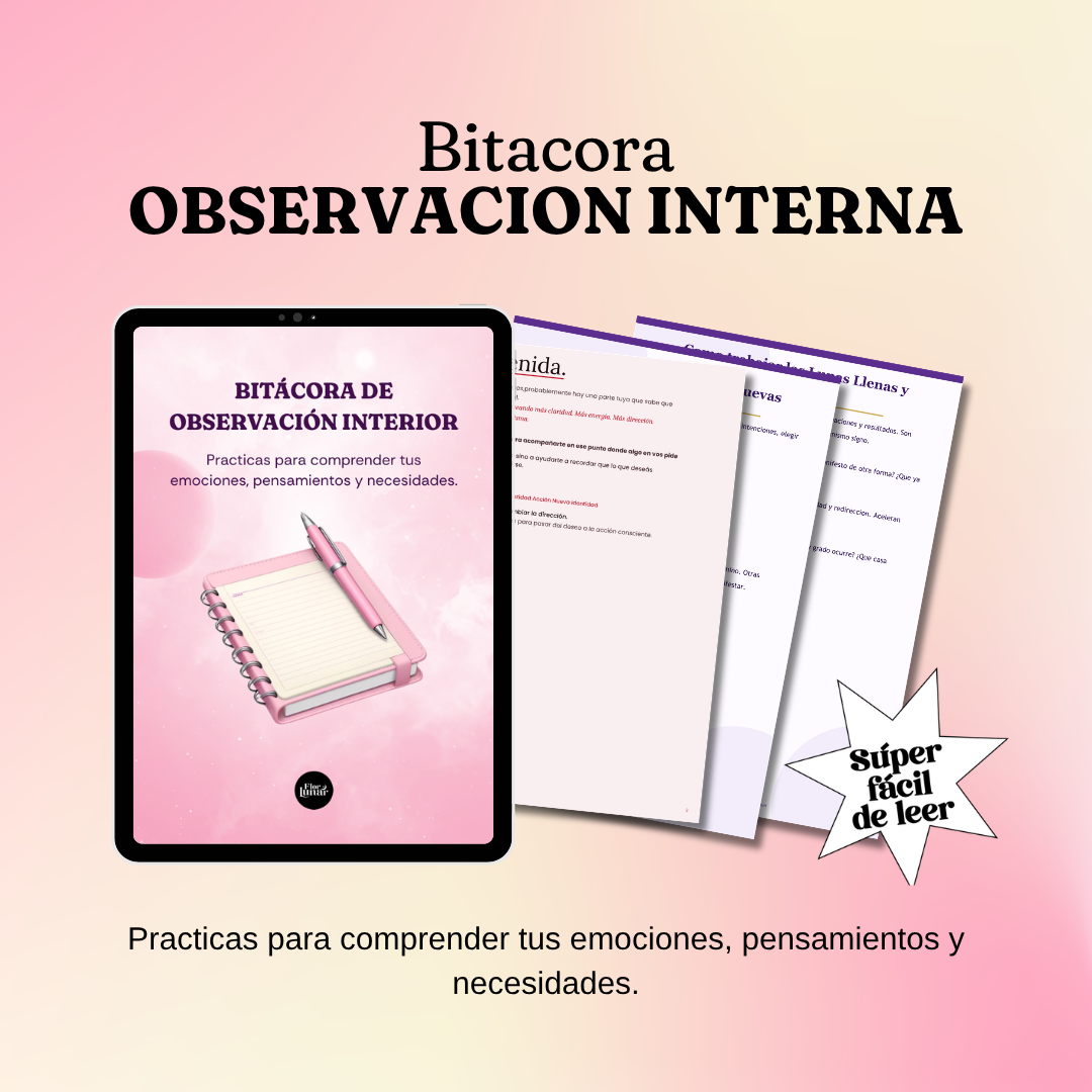 Bitácora de Observación Interior